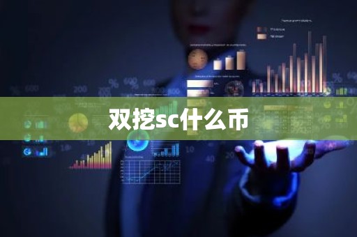 双挖sc什么币