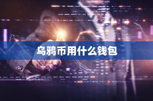 乌鸦币用什么钱包