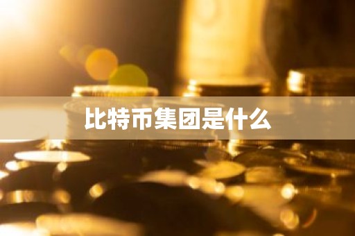 比特币集团是什么