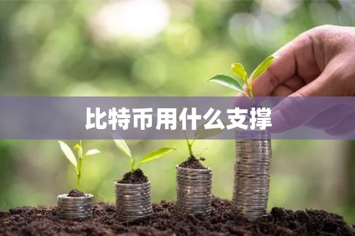 比特币用什么支撑