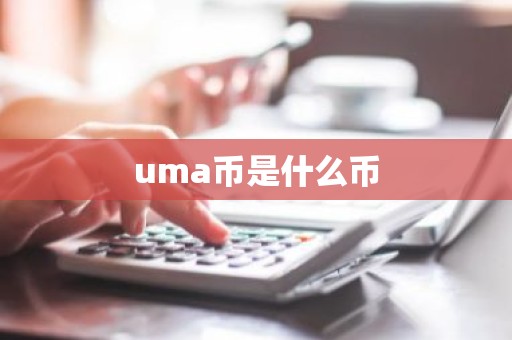 uma币是什么币