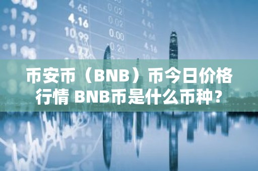 币安币（BNB）币今日价格行情 BNB币是什么币种？