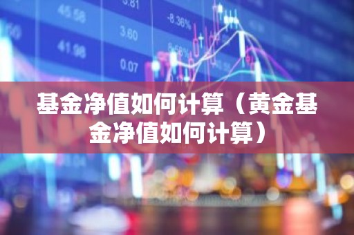 基金净值如何计算（黄金基金净值如何计算）