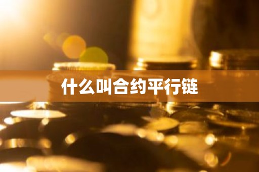 什么叫合约平行链