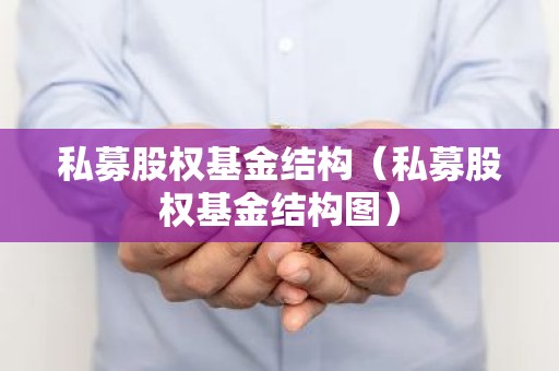 私募股权基金结构（私募股权基金结构图）