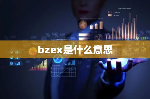 bzex是什么意思