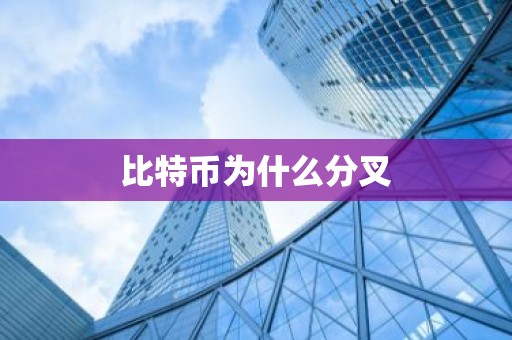 比特币为什么分叉