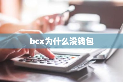 bcx为什么没钱包