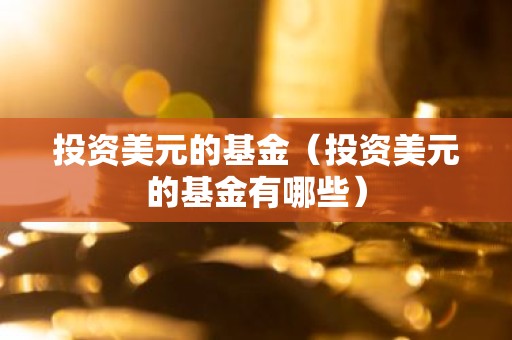 投资美元的基金（投资美元的基金有哪些）