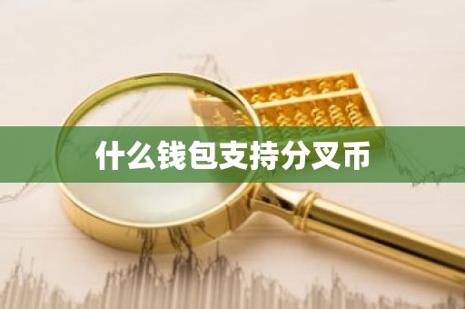 什么钱包支持分叉币
