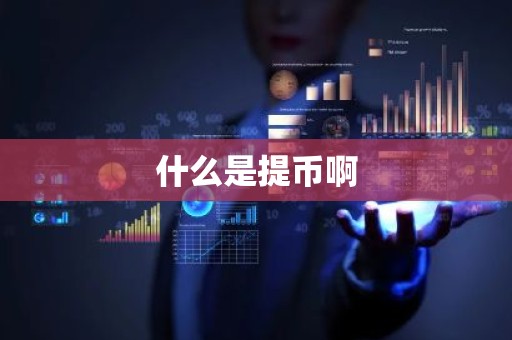 什么是提币啊