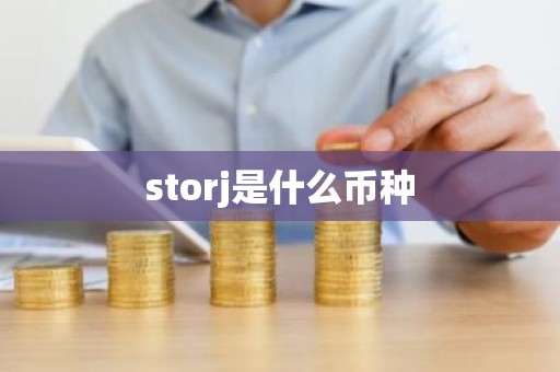 storj是什么币种