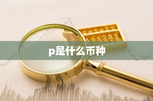 p是什么币种