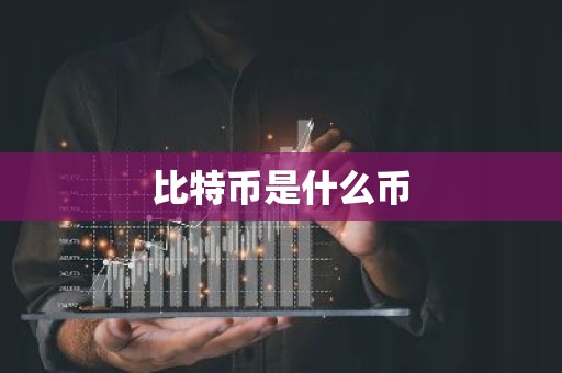 比特币是什么币