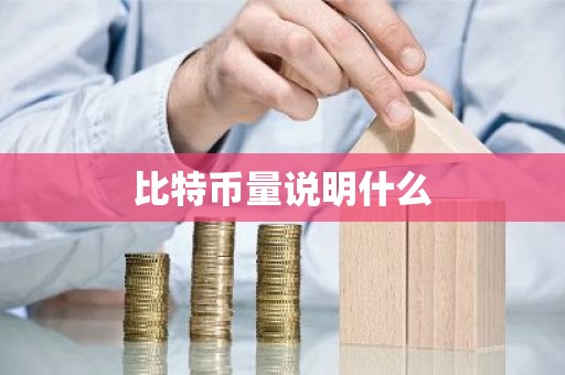 比特币量说明什么