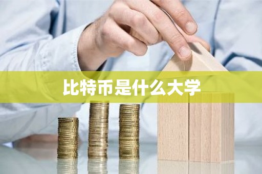 比特币是什么大学