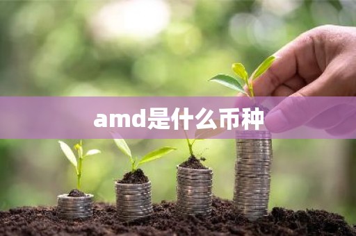 amd是什么币种