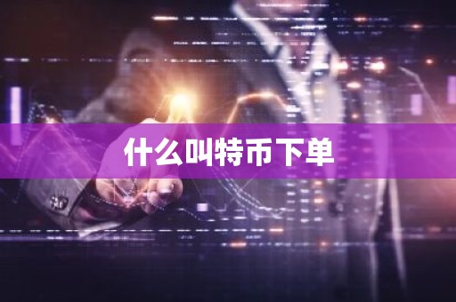 什么叫特币下单