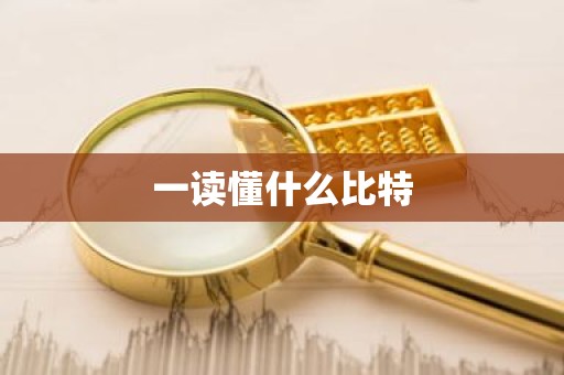 一读懂什么比特