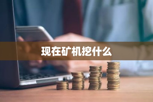 现在矿机挖什么
