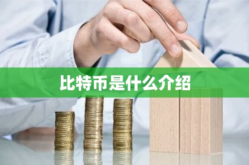 比特币是什么介绍