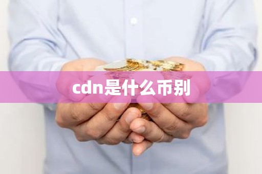 cdn是什么币别