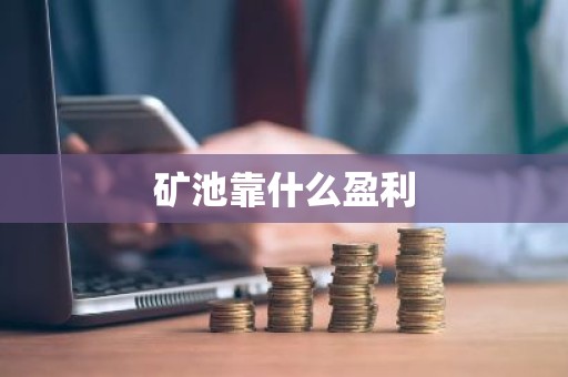 矿池靠什么盈利