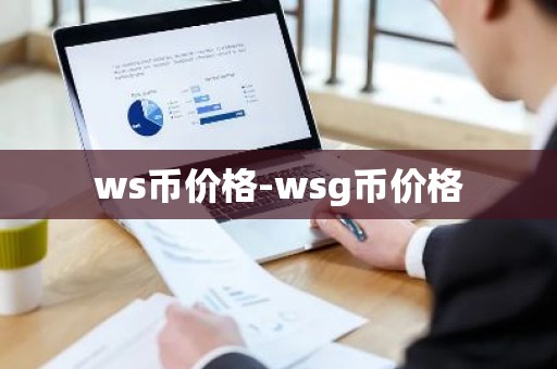 ws币价格-wsg币价格