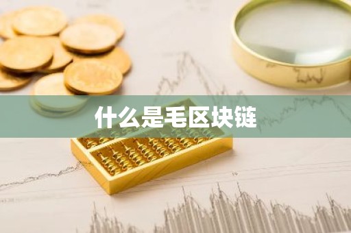 什么是毛区块链