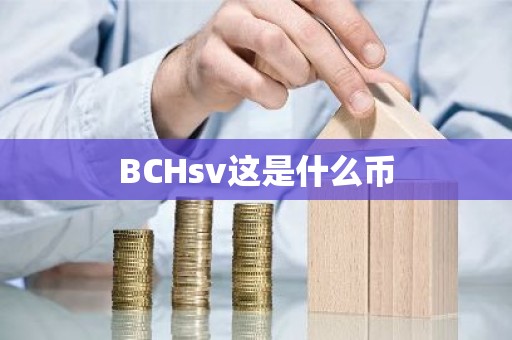 BCHsv这是什么币