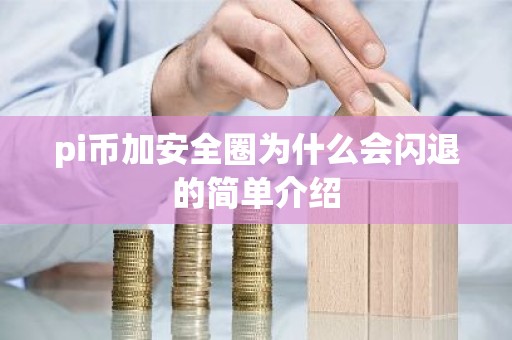 pi币加安全圈为什么会闪退的简单介绍