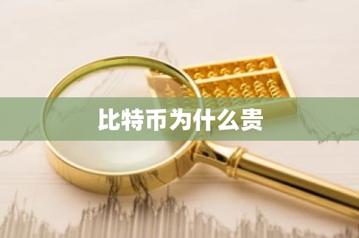 比特币为什么贵