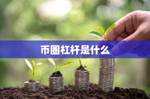 币圈杠杆是什么