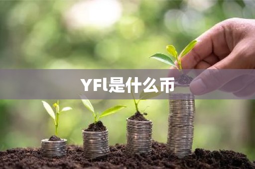 YFl是什么币