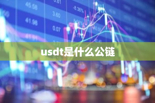 usdt是什么公链
