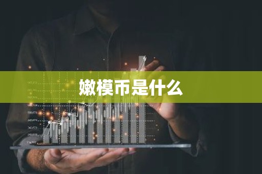 嫩模币是什么