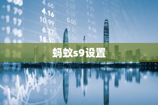 蚂蚁s9设置
