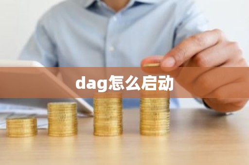 dag怎么启动