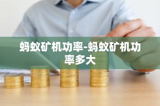 蚂蚁矿机功率-蚂蚁矿机功率多大