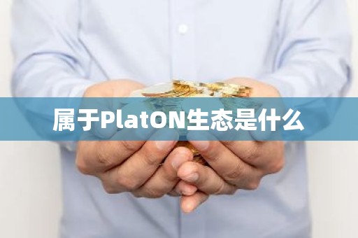 属于PlatON生态是什么