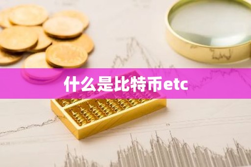 什么是比特币etc