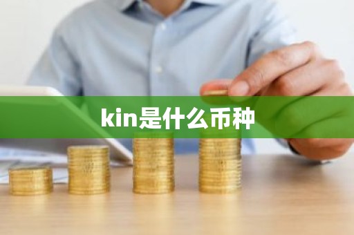 kin是什么币种