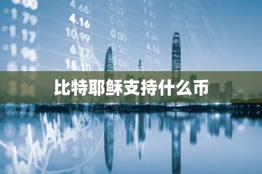 比特耶稣支持什么币