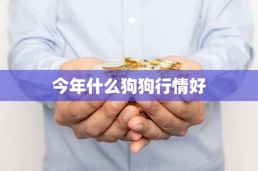 今年什么狗狗行情好
