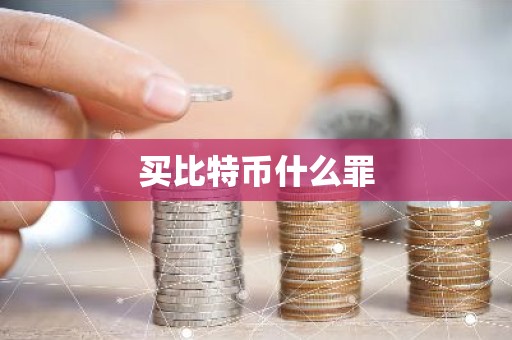 买比特币什么罪
