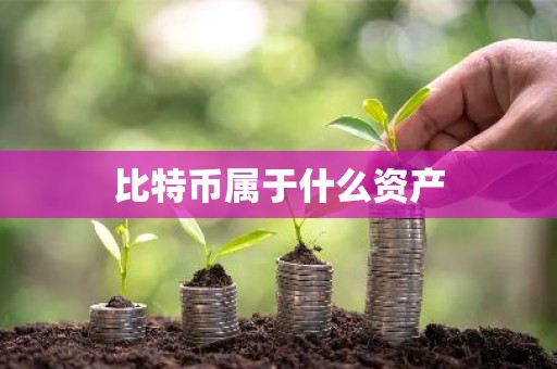 比特币属于什么资产
