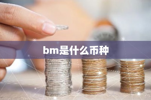 bm是什么币种