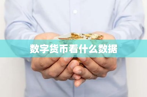 数字货币看什么数据