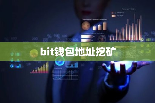 bit钱包地址挖矿