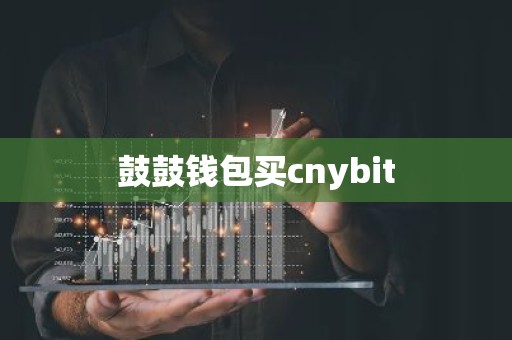 鼓鼓钱包买cnybit